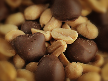 Milk Chocolate Covered Peanuts