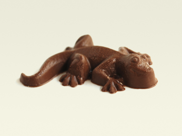 Lizard