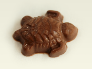 Mini Sea Turtles – 4 pack