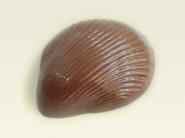 Shell