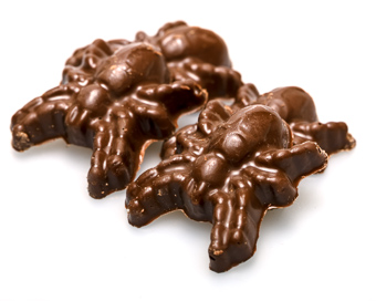 Dark Chocolate Spiders (Set of 4)