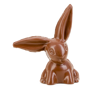 Floppy Ear Bunny