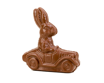 Bunny in Car