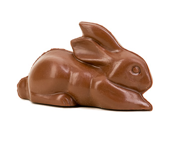 Small Bunny Laying Down